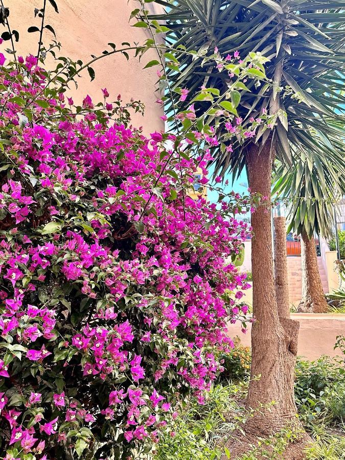 Art-Apart Caronte In Riviera Del Sol, Mijas Costa Sitio de Calahonda Dış mekan fotoğraf